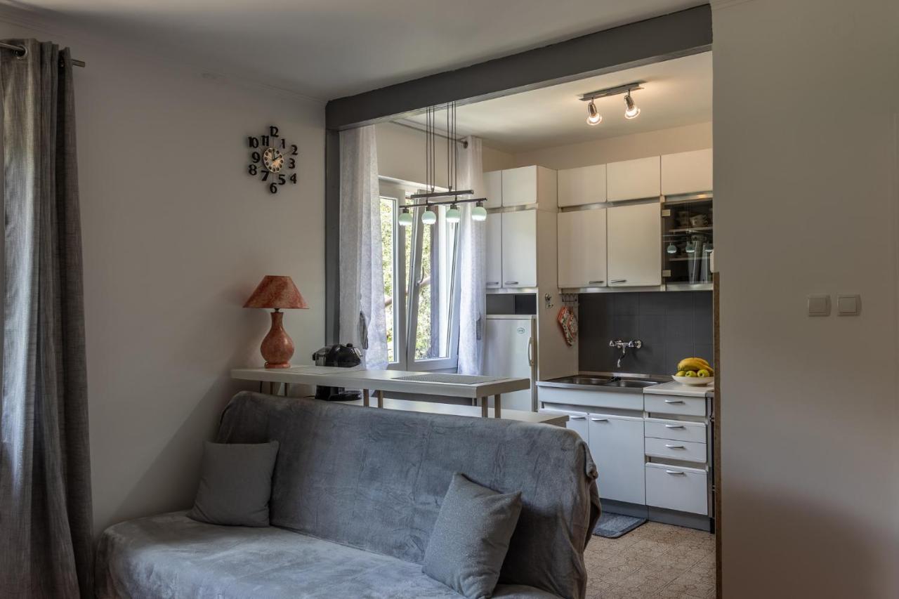 Apartman Danijela Zagorje Экстерьер фото